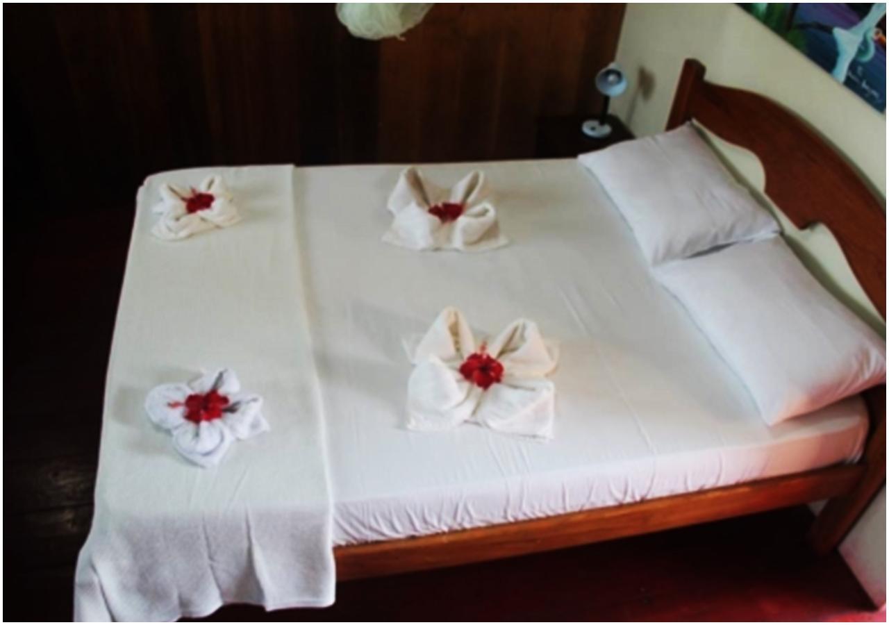 Amazon Turtle Lodge Careiro Екстер'єр фото